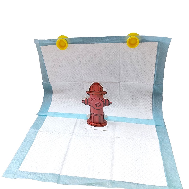 Outdoor Dog Pee Pad Fire Hydra - đánh giá và giá Travel Accessories Guide