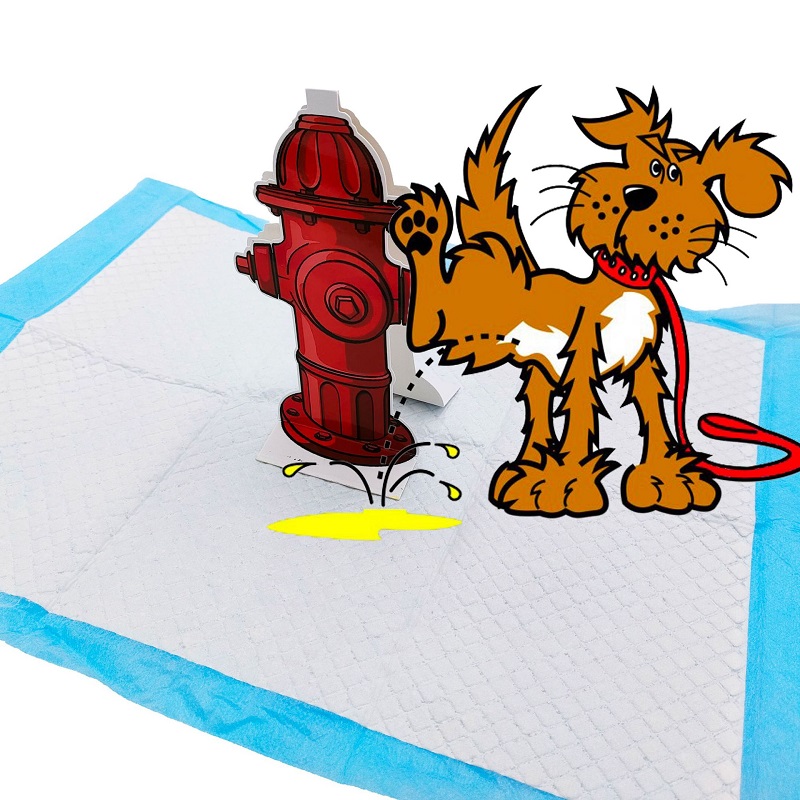 Outdoor Dog Pee Pad Fire Hydra - đánh giá và giá Travel Accessories Guide